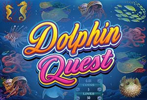 Dolphin Quest