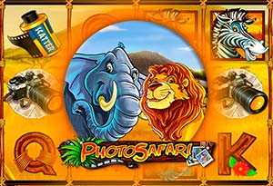 Photo Safari
