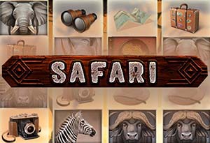 Safari