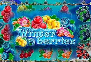 Winterberries